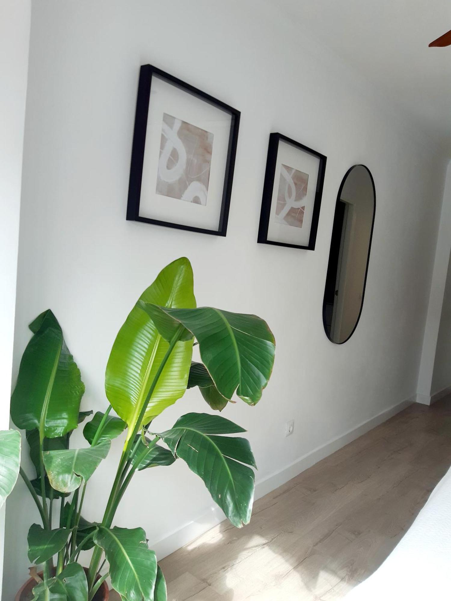 Impressive Apartment With 3 Bedrooms Metres From The Beach 埃斯特波纳 外观 照片